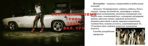 шишки Новый Уренгой