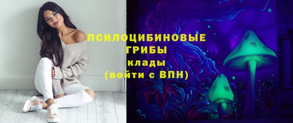 шишки Артём
