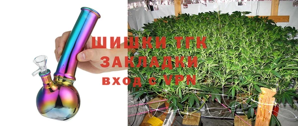 герыч Долгопрудный