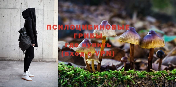 герыч Долгопрудный
