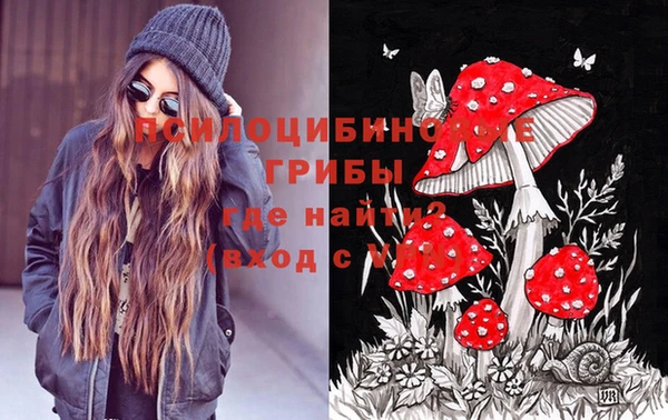 герыч Долгопрудный