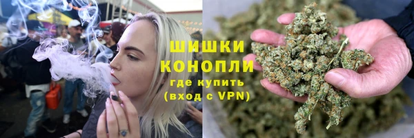 стаф Заводоуковск