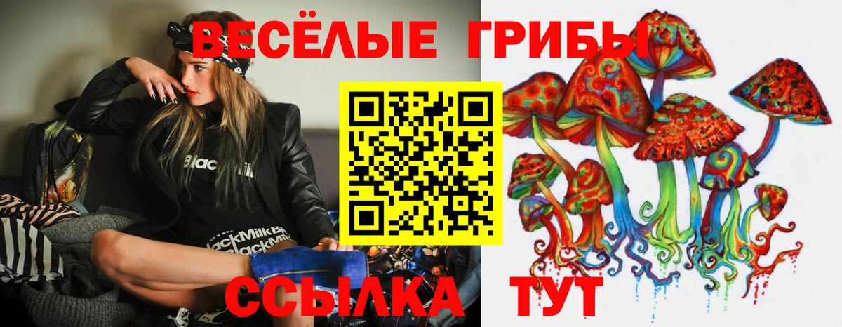 купить наркотик  Гусь-Хрустальный  Галлюциногенные грибы ЛСД 